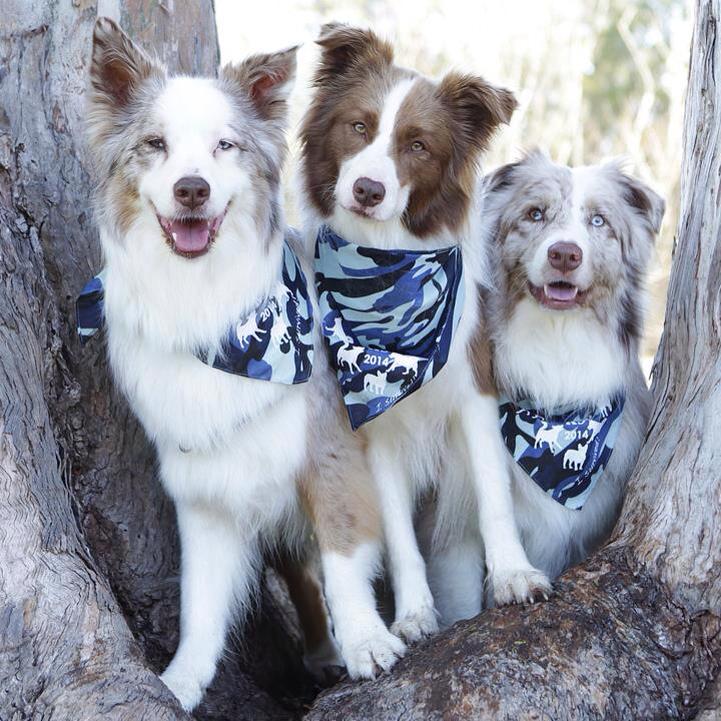 Friendly Tree-o