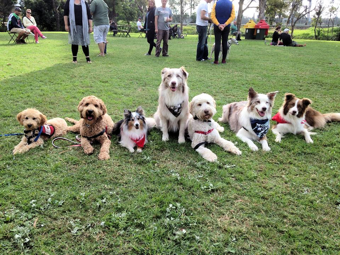 Group Shot