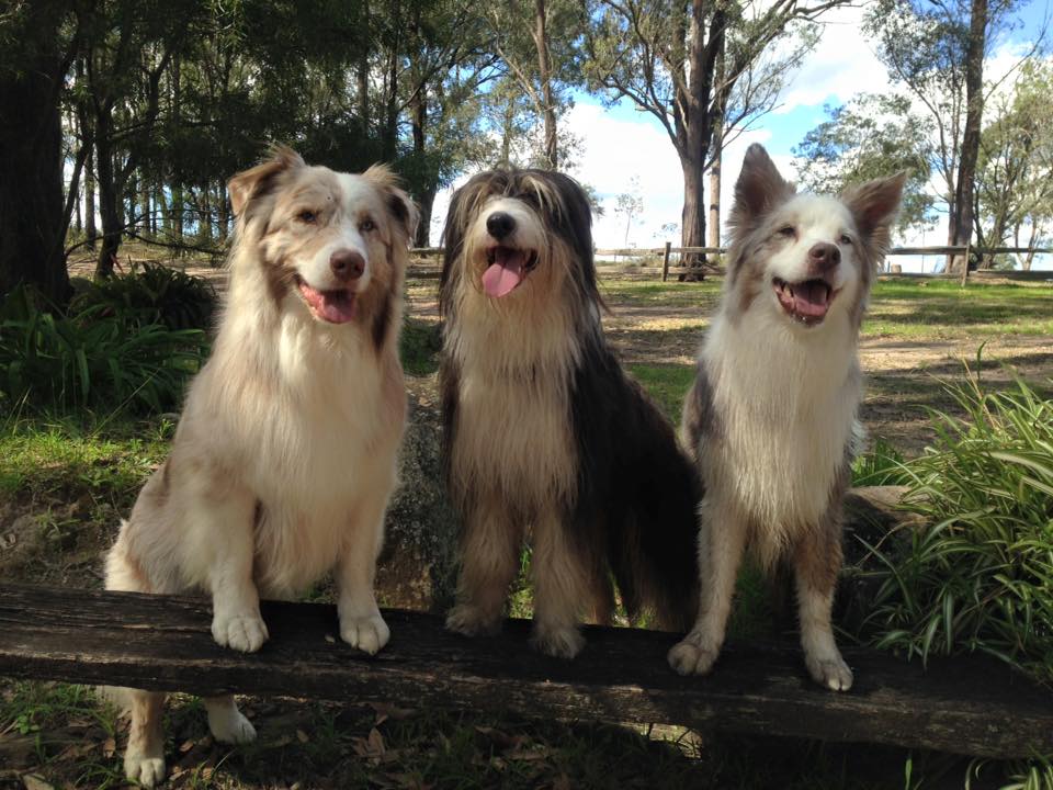 Tricky Trio