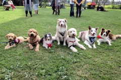Group Shot