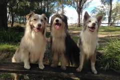 Tricky Trio